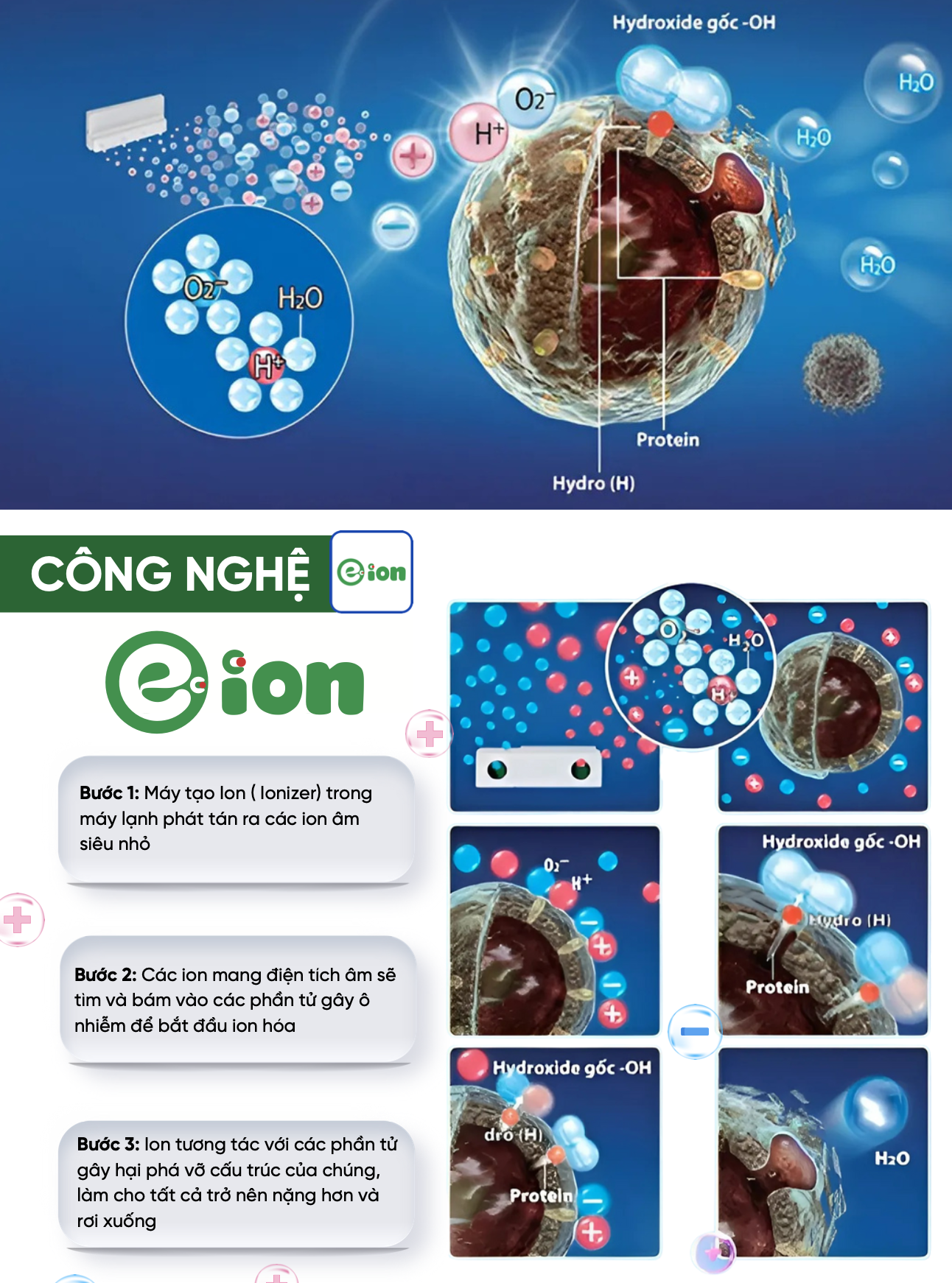 chế độ eion