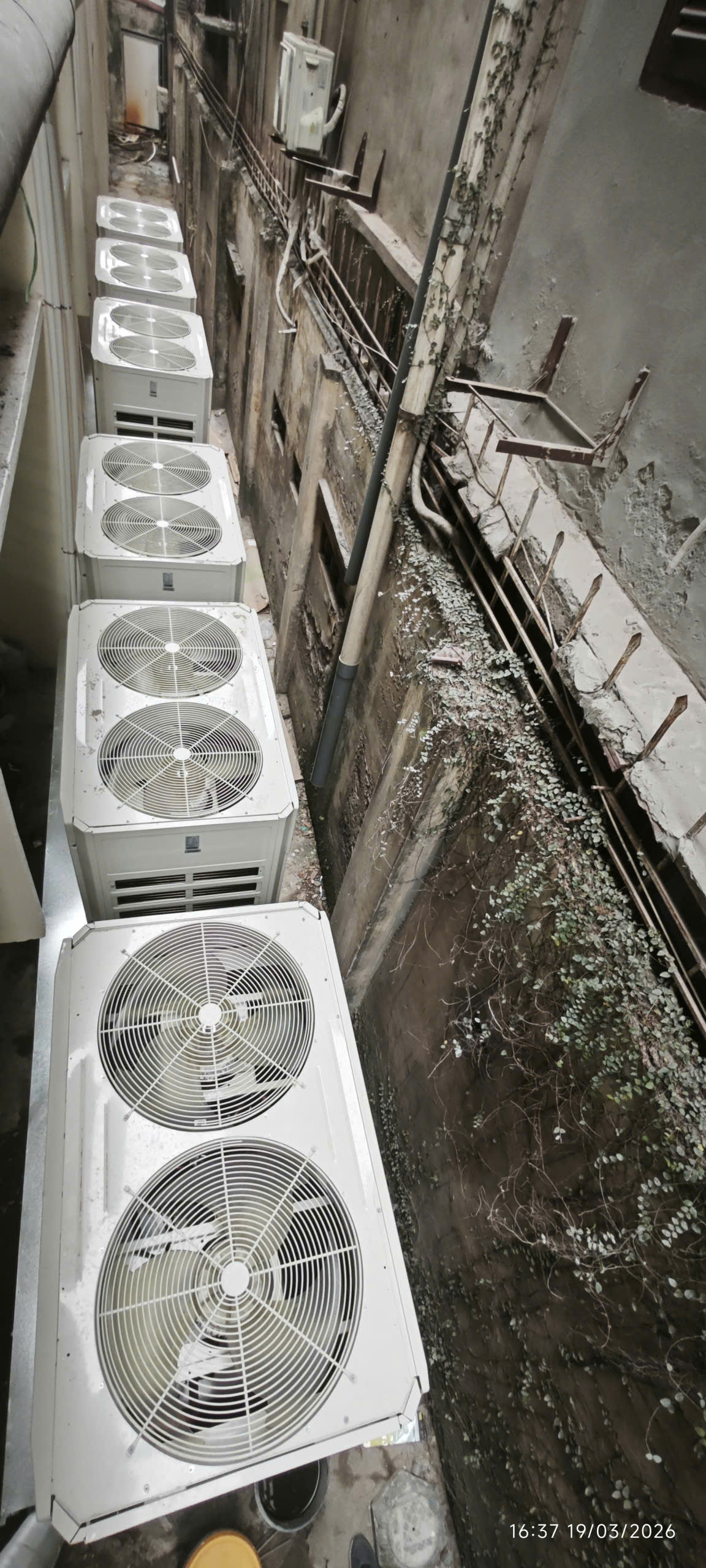 z7636840212215_e18dd7daec4844c348a37d3099ce231a